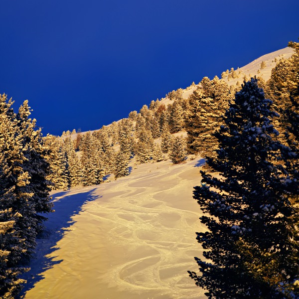 Frische Spuren im Schnee im späten Sonnenschein