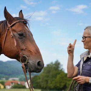 Test Schülerfotos Schüler1